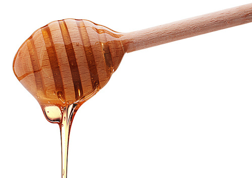 Honey dripping from a wooden honey dipper isolated on white cutout