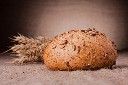 Loaf of bread and wheat ears still life on rustic background