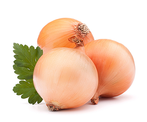 Onion vegetable bulb and parsley leaves still life isolated on white cutout