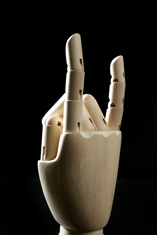 Mannequin wooden hand|horns with fingers