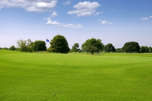 Green Golf grass landscape