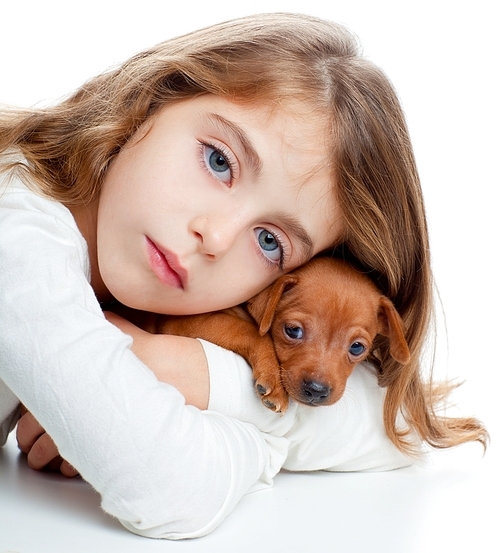 brunette kid girl with mini pinscher pet mascot dog on white background