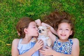 twin sisters playing with chihuahua dog lying on backyard lawn