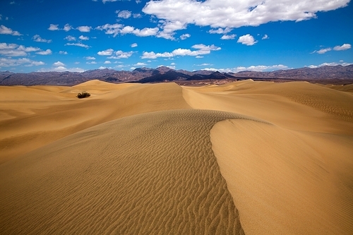 Mesquite Dunes desert in Death Valley National Park California