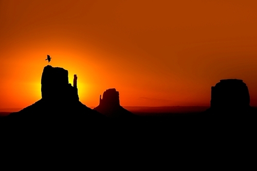 Sunrise at Monument Valley West and East Mittens and Merrick Butte with crow Utah