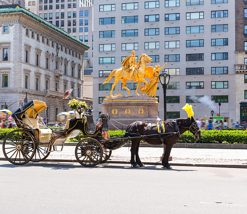 Central Park horse carriage rides in Manhattan New York US