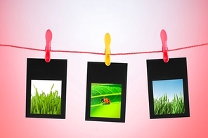 Nature photos in picture frames