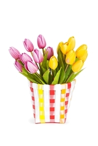 Pot of colorful tulips isolated on white