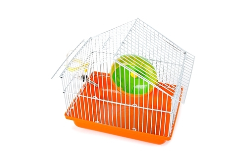 Bird cage isolated on the white background