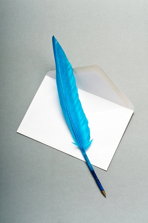 Letter and feather on the background