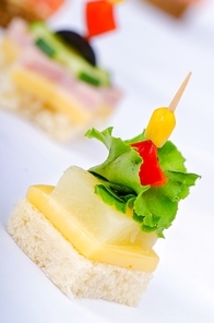 Selection of various canape