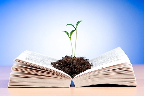 Seedlings growing from book in knowledge concept