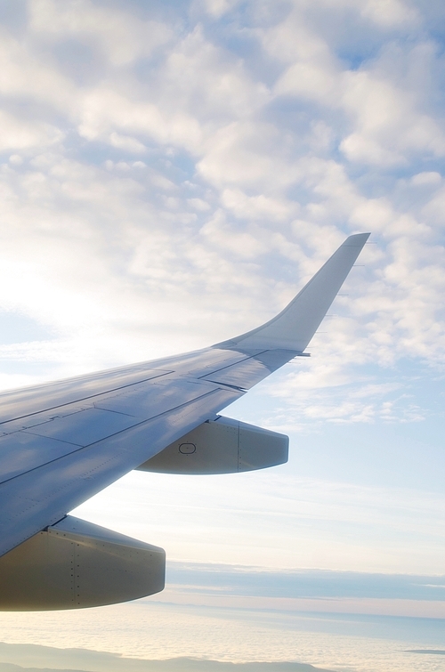 Wing of airplane from window