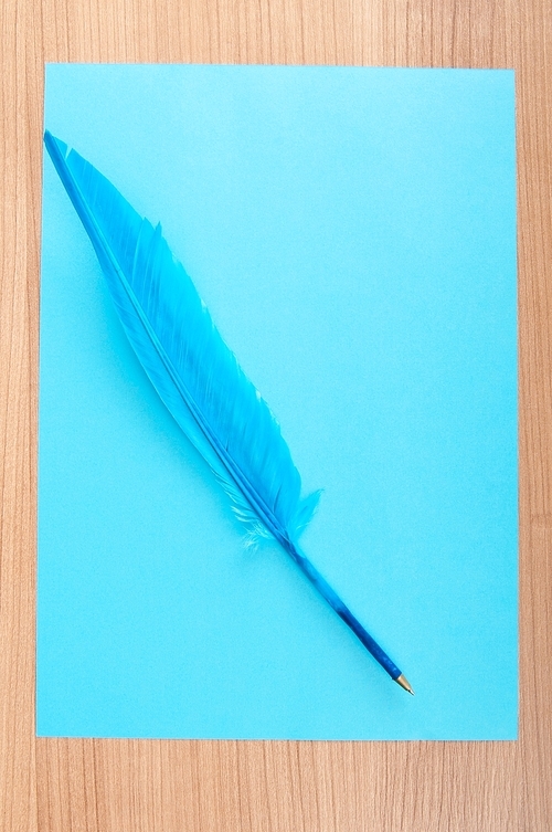 Paper and feather in vintage writing concept