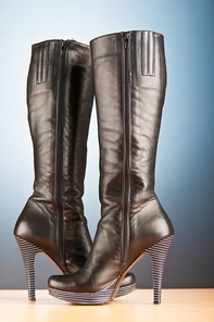 Fashion concept with woman top boots