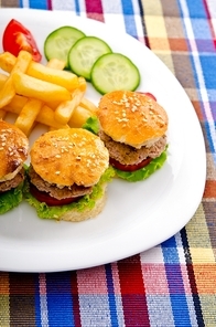 Burgers with french fries in plate