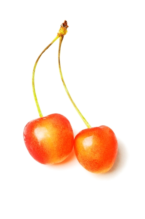 Cherries isolated on the white background