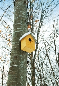 Bird house on the tree in winter