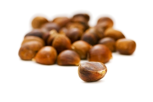 Many chestnuts isolated on the white background