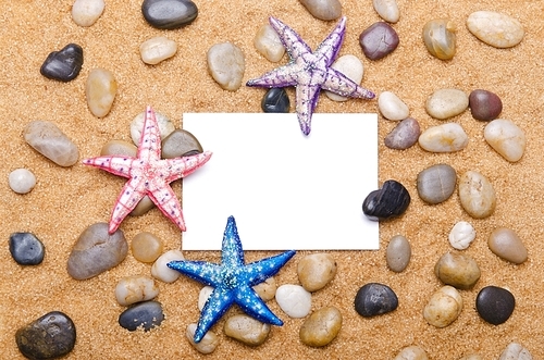 Sea stars isolated on the white