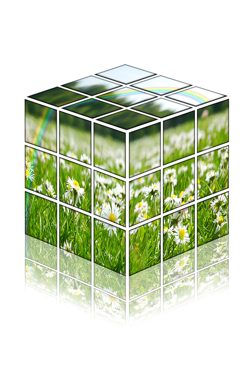 Cube with camomiles field