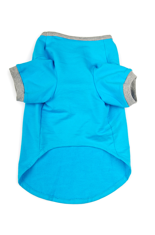 유토이미지 Pet clothing isolated on the white