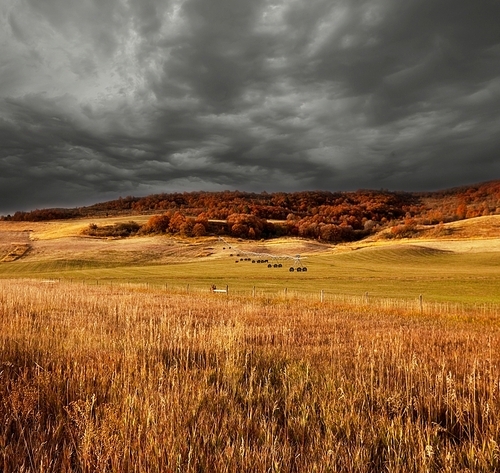 fields in fall season | 유토이미지 | 상세페이지 | 베이직샵 | 사진 | 19835159