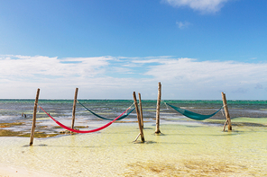 hammock in lagoon