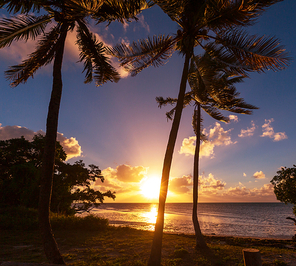 Tropical beach