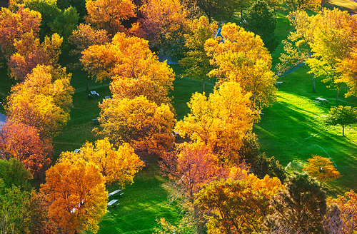 Beautiful autumn park