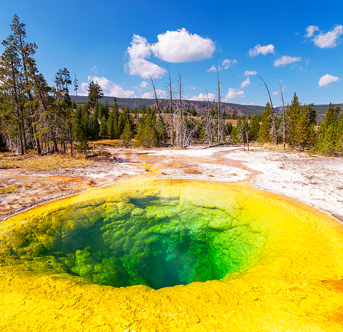 Morning Glory Pool