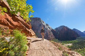 Hike in Zion national park