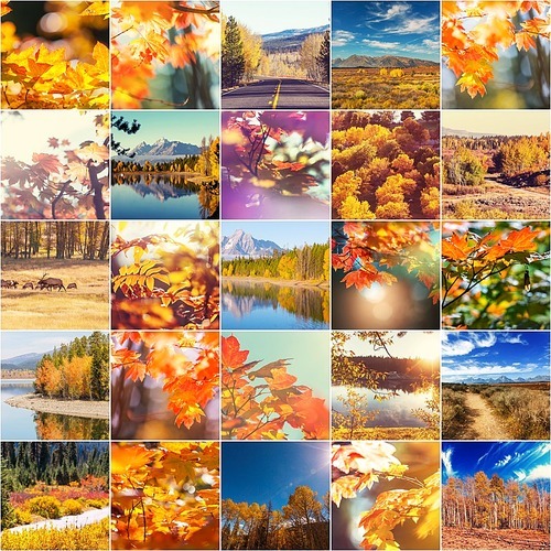autumn orange collage