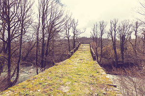 Traditional stone bridge in  Greece