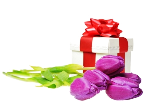 bouquet of  violet tulips and gift box