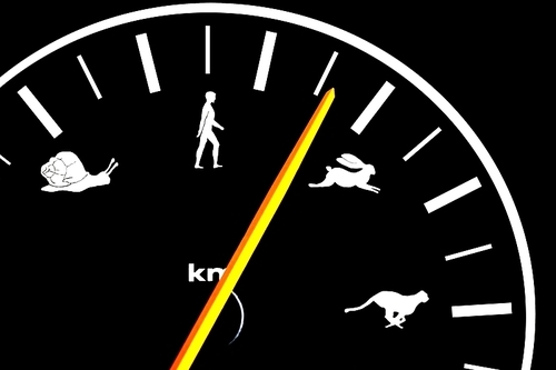 Car speedometer shows speed with animal and human icons