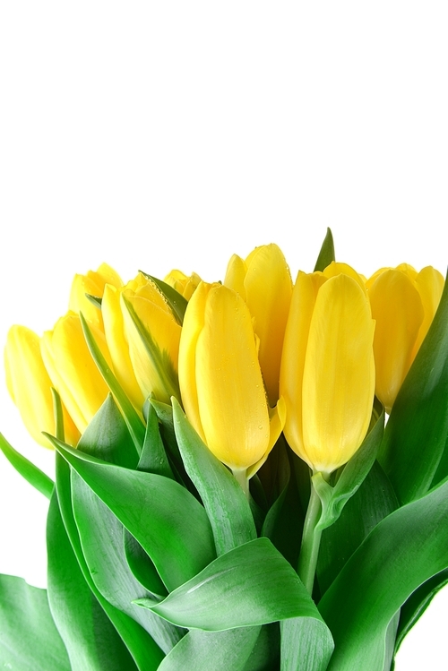 bouquet of fresh yellow tulips on table
