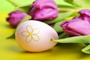 Colorful painted easter eggs  and bouquet tulip