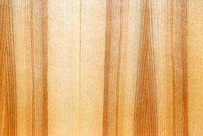 brown wood texture background close up