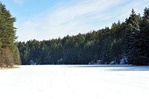 Winter day in  forest and blue sky landscape