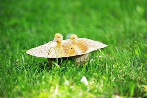 three cute fluffy  ducklings sitting in straw hat