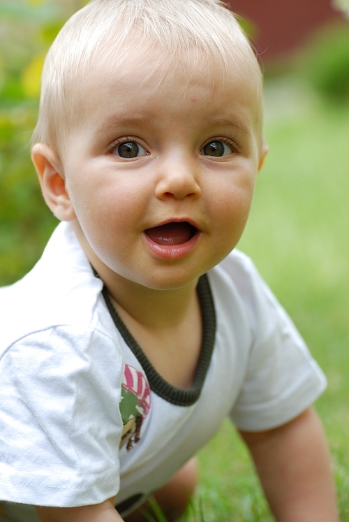 beautiful little girl on  green grass