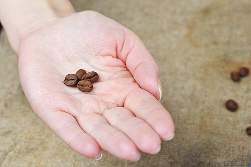 Women's hands hold roasted coffee beans  close up