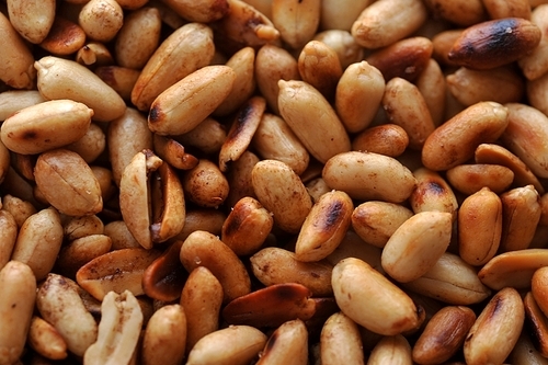 many  fried peanut close up