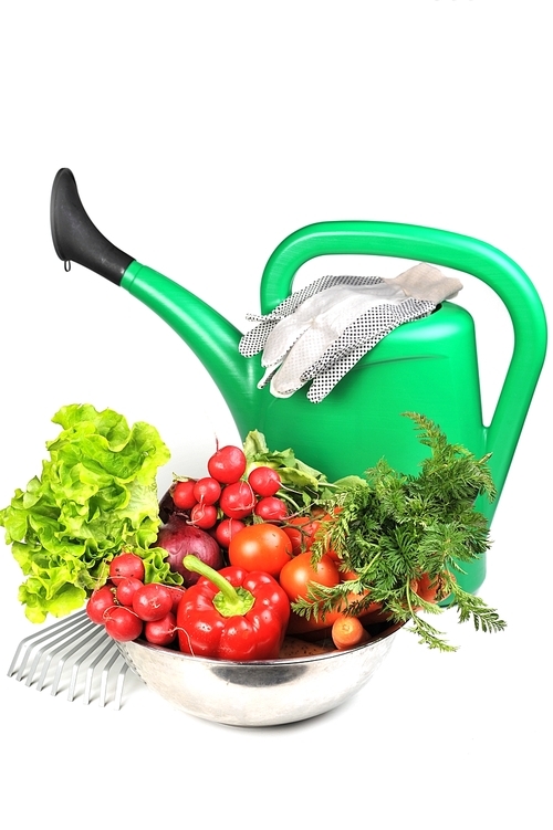 green watering can and  fresh vegetables.