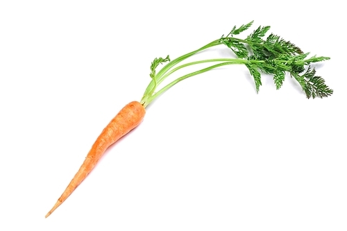 one fresh carrot with leaves  on white background