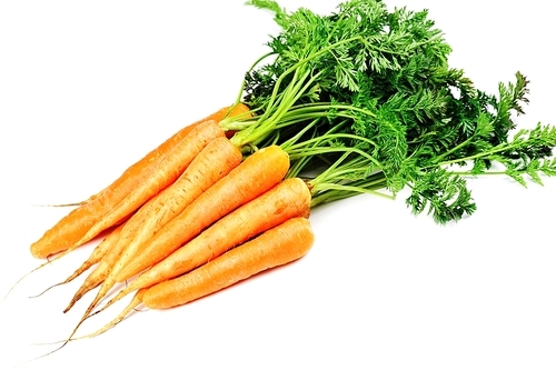 Bunch of fresh carrots with leaves  on white background