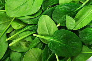 background leaves of  spinach. fresh greens