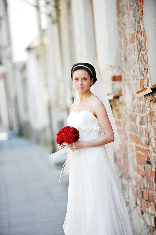 bride  for an old brick wall