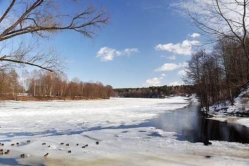 Trees and bushes on bank of snow covered river. winter landscape